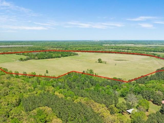 Land for sale in Detroit, Texas