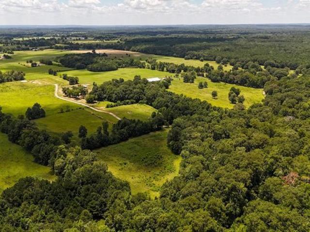Land for sale in Panola, Texas