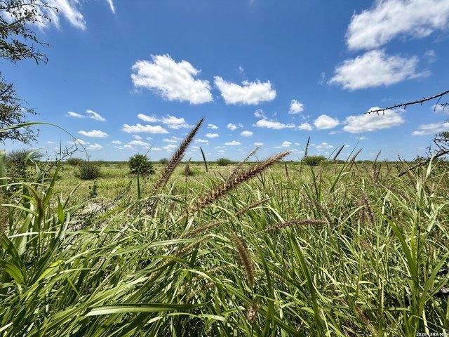 Farm for sale in Three Rivers, Texas