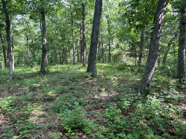 Land for sale in Chamois, Missouri