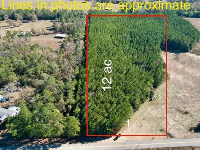 Land for sale in Headland, Alabama