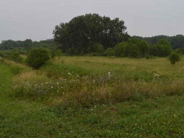 Land for sale in Archbold, Ohio
