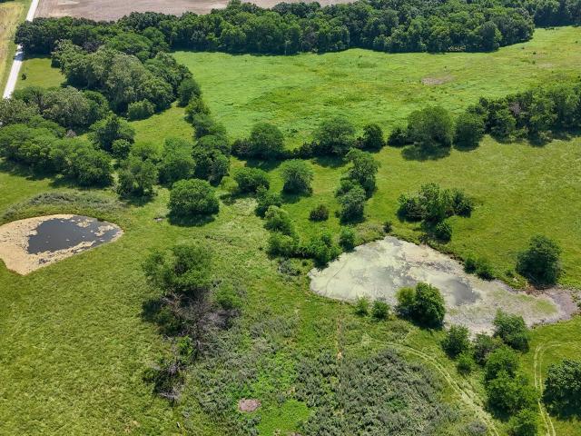 Land for sale in Armstrong, Randolph County