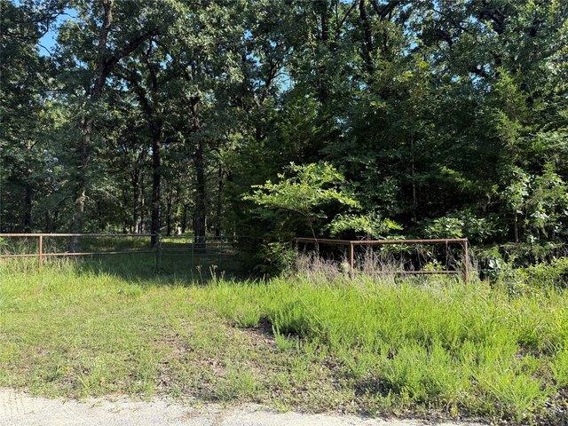 Land for sale in Fannin, Texas