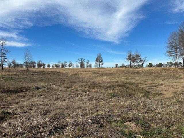 Land for sale in Como, Texas