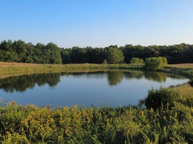 Farm for sale in Williamstown, Lewis County
