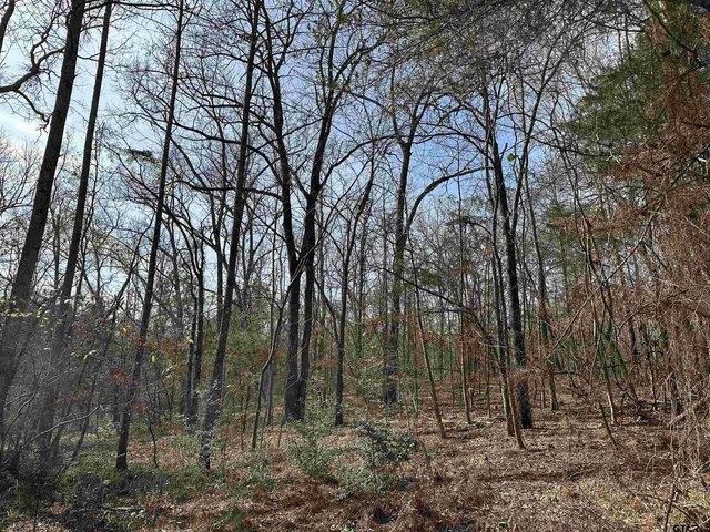Land for sale in Alto, Texas