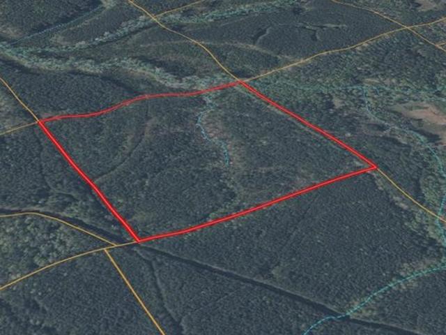 Land for sale in Saltillo, Lee County