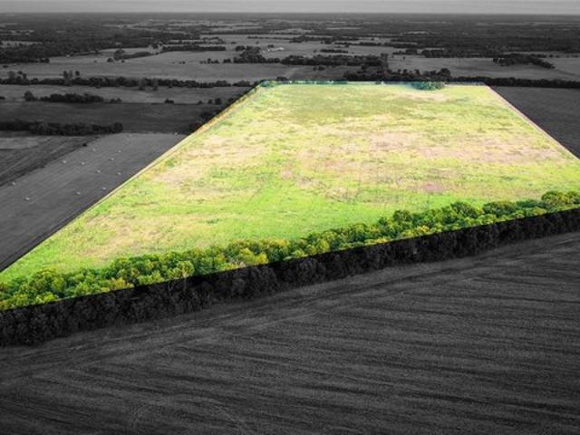 Land for sale in Lamar, Texas