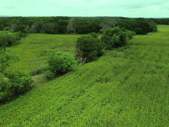 Land for sale in Comanche, Texas