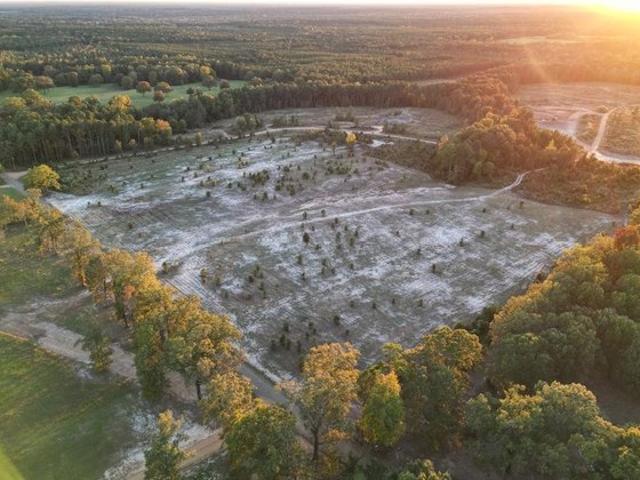 Land for sale in Ark