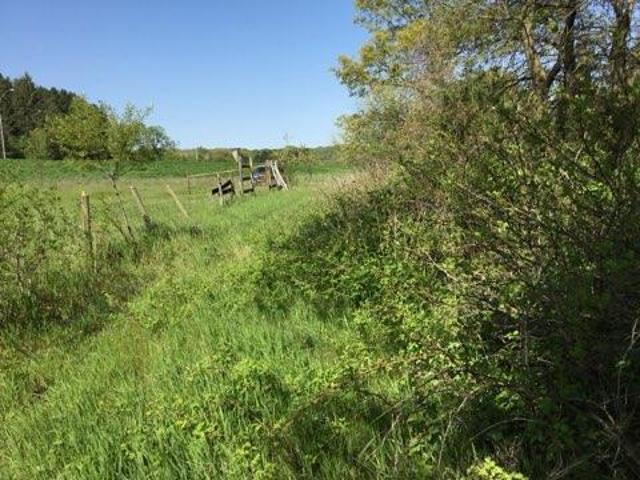 Land for sale in Minnesota
