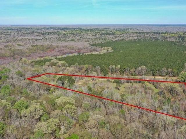 Land for sale in Morris, Texas