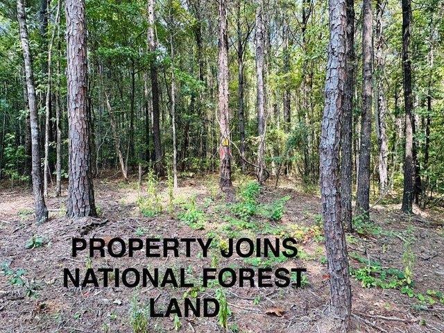 Land for sale in Pontotoc, Mississippi