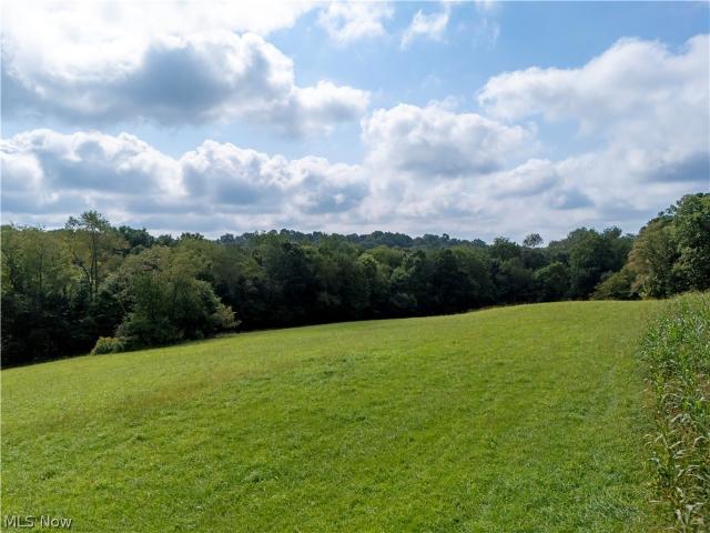 Land for sale in Brinkhaven, Holmes County