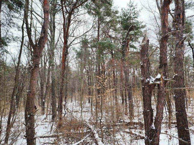 Land for sale in Canton, New York