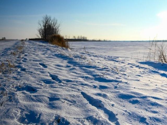 Land for sale in South Dakota