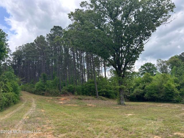 Land for sale in Philadelphia, Mississippi
