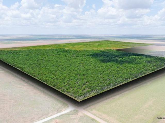 Land for sale in Jones, Texas