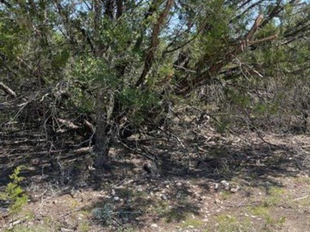 Land for sale in Lometa, Texas