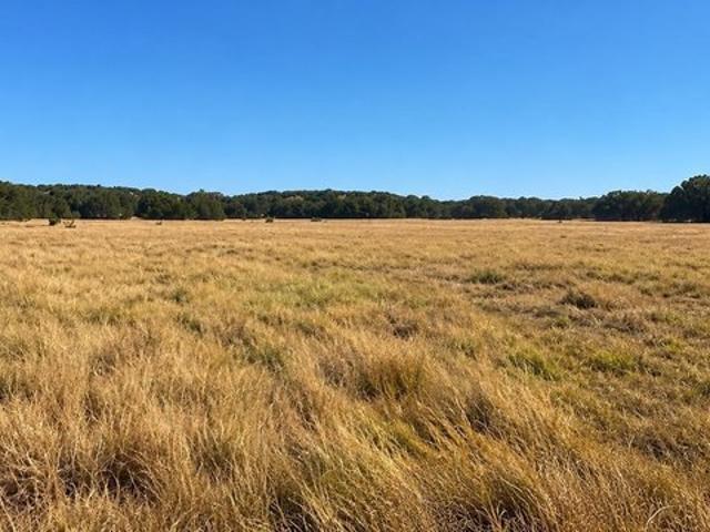 Farm for sale in Lometa, Lampasas County