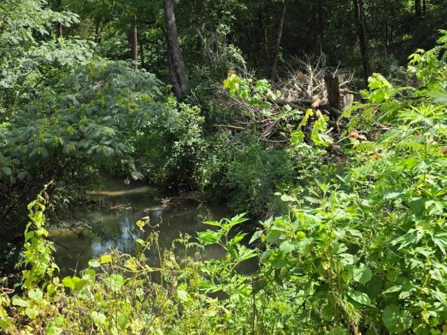 Land for sale in Tennessee