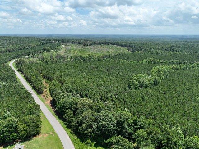 Land for sale in Wadley, Alabama