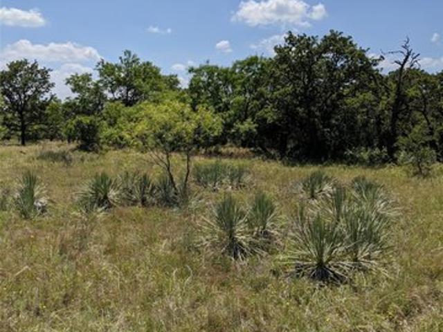 Land for sale in Rising Star, Texas