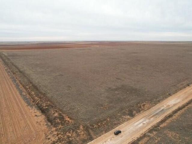 Farm for sale in Sudan, Texas