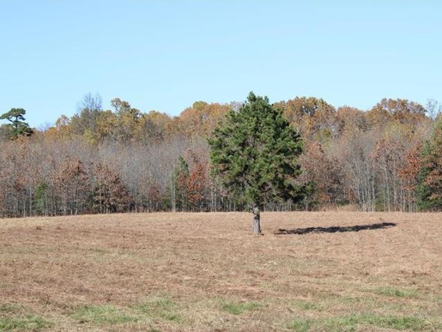 Farm for sale in Howell, Missouri