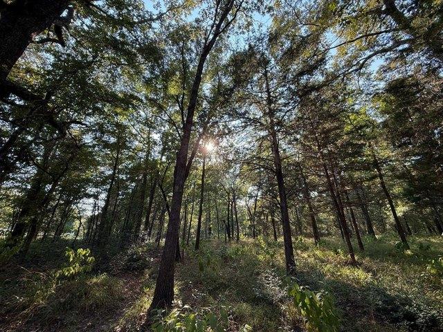 Land for sale in Wood, Texas
