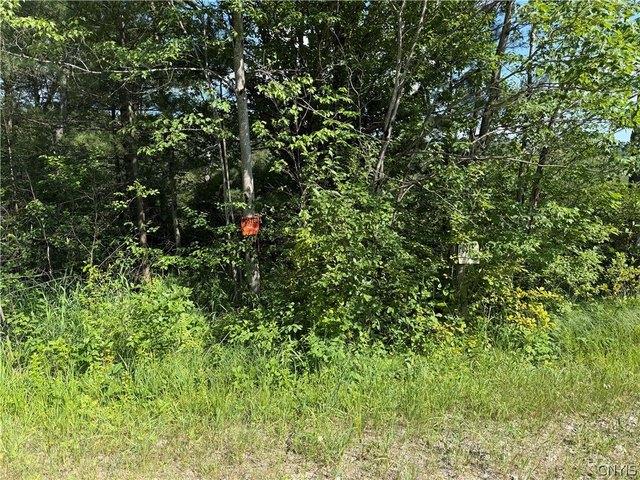 Land for sale in Russell, New York