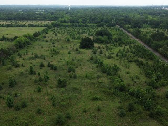 Land for sale in Mineola, Wood County