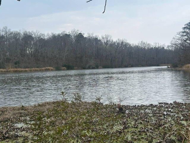 Land for sale in Alabama