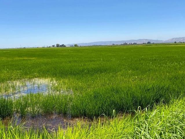Land for sale in Yolo, California