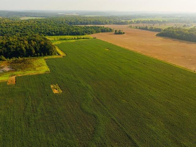 Land for sale in Big Creek, Calhoun County