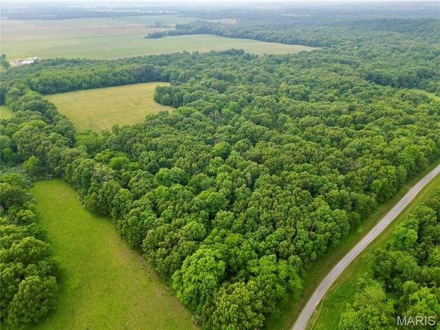 Land for sale in Dahlgren, Illinois