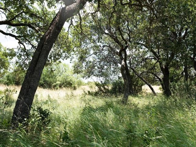 Land for sale in Eldorado, Texas
