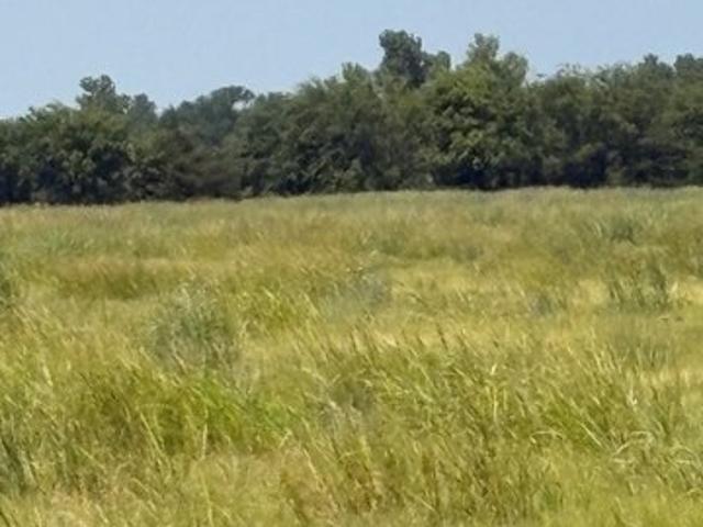 Land for sale in Fannin, Texas