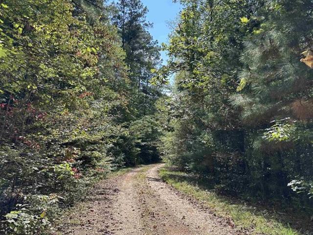 Land for sale in Double Springs, Alabama