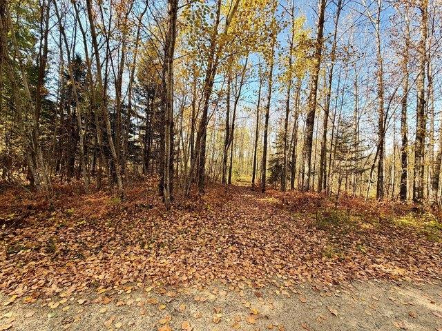 Land for sale in Deer River, Itasca County