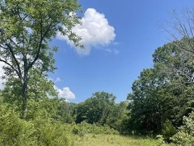 Land for sale in Ava, Missouri