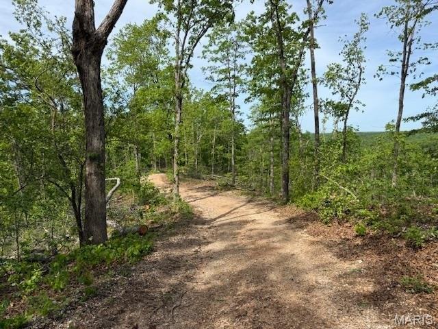 Land for sale in Shannon, Missouri