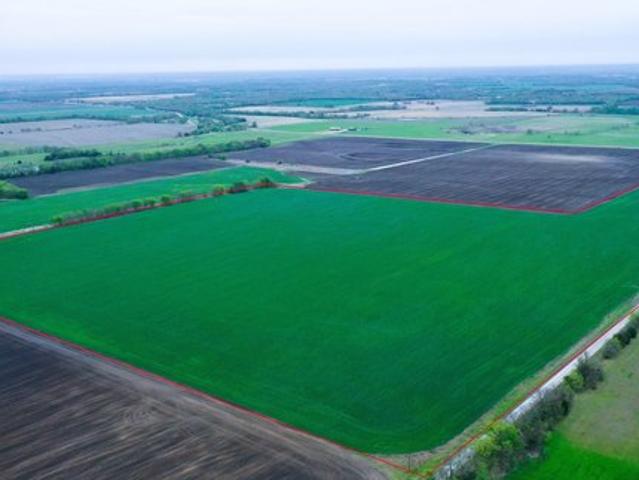 Land for sale in Fannin, Texas