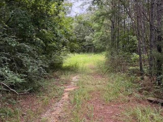 Land for sale in Double Springs, Alabama