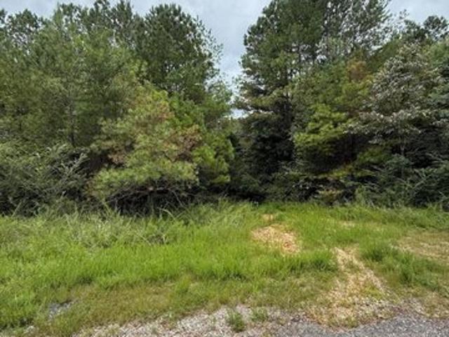 Land for sale in Double Springs, Alabama