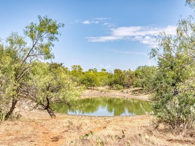 Land for sale in Moran, Texas