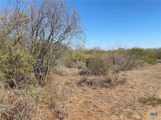 Farm for sale in Orange Grove, Texas