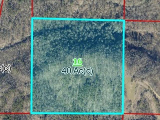 Land for sale in Alabama