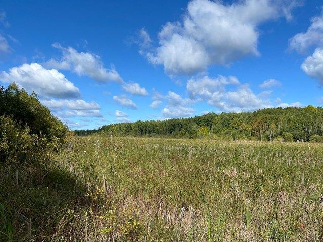 Land for sale in International Falls, Minnesota